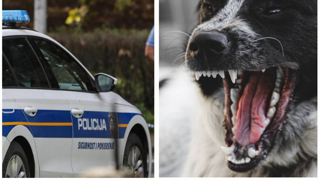 Pas u Bjelovaru izgrizao drugog i usmrtio ga, u Gudovcu drugi izgrizao čovjeka na motociklu