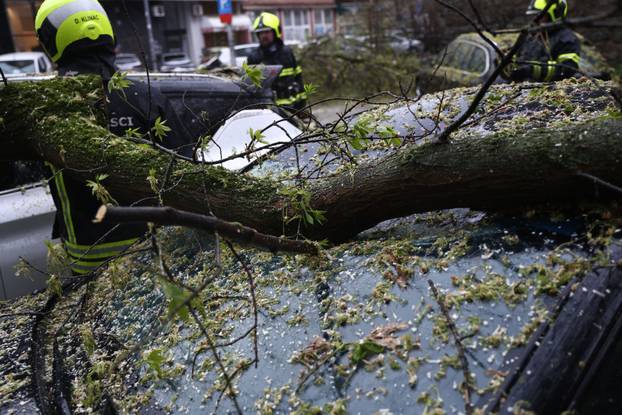 Zagreb:  Nevrijeme i jak vjetar ruše drveće koje pada po automobilima 