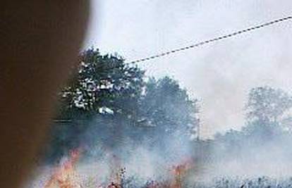 Mještani sa vatrogascima gasili požar u blizini Nina