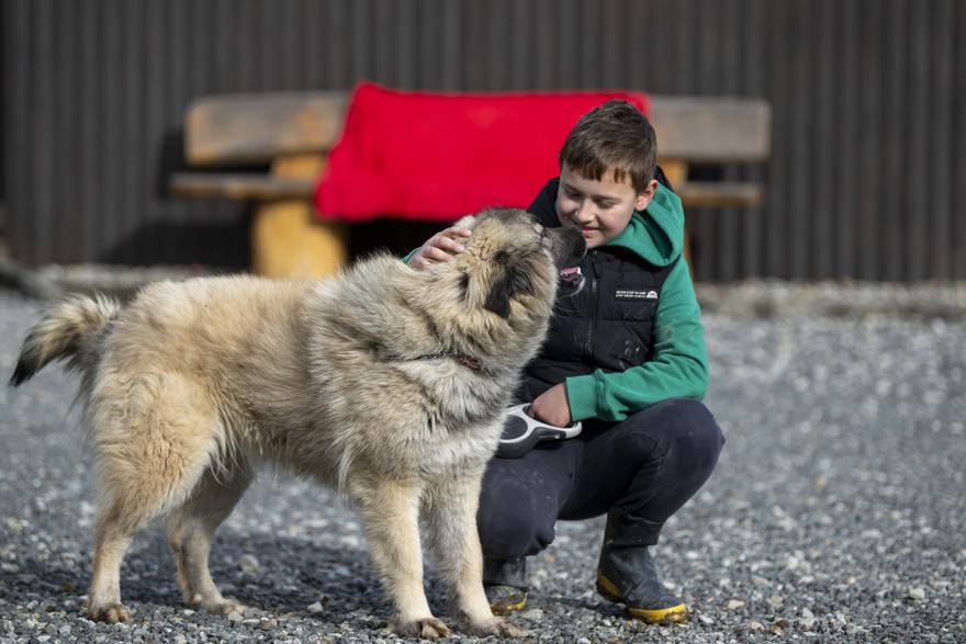 Simonu je tek 10 godina, a već je 'veteran' u Skloništu za napuštene životinje u Zagorju