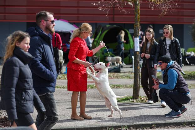 Zaprešić: Ispred Wesgatea održana međunarodna izložba pasa