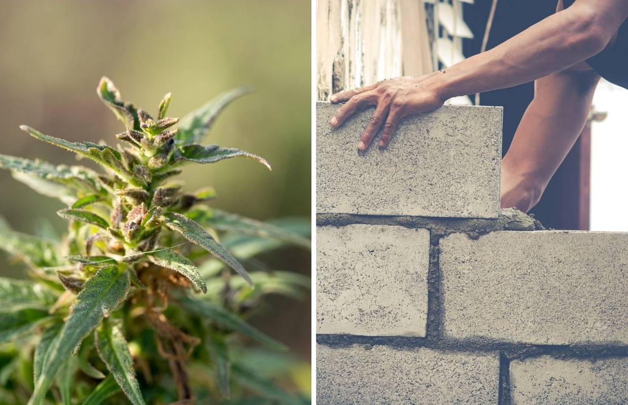 Sve više građevinara razmišlja o materijalima od konoplje