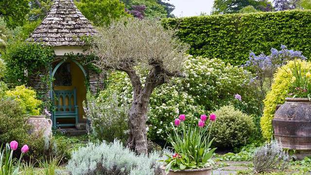 Vrt rezidencije kralja Charlesa: Ima svoju privatnu kolibu i ruže koje mirišu na jabuke