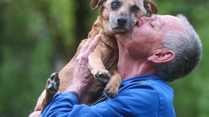 FOTO Rasplakali Hrvatsku! Djed Ivica ne odustaje od svog Bobija
