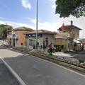 STRAVA U LOVRANU Pas napao pudlicu, morali ju usmrtiti. Vlasnik dobio 3000 eura kazne