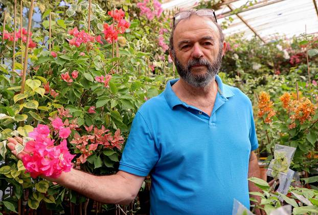 Split: Denis Bojčić, kolekcionar bugenvila
