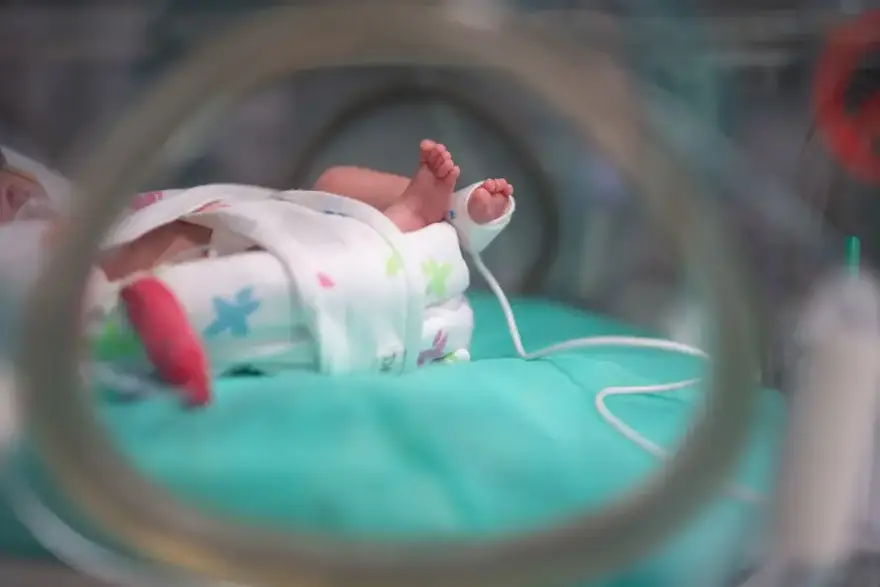 One su pravi heroji hrvatskog zdravstva. Brinu o pal&ccaron;i&cacute;ima: 'To radimo iz ljubavi, ne novca'