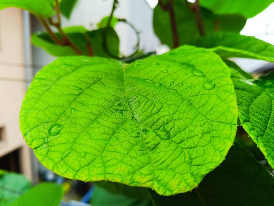 Borba srednje klase: Isprobali smo Xiaomi Redmi Note 12 Pro