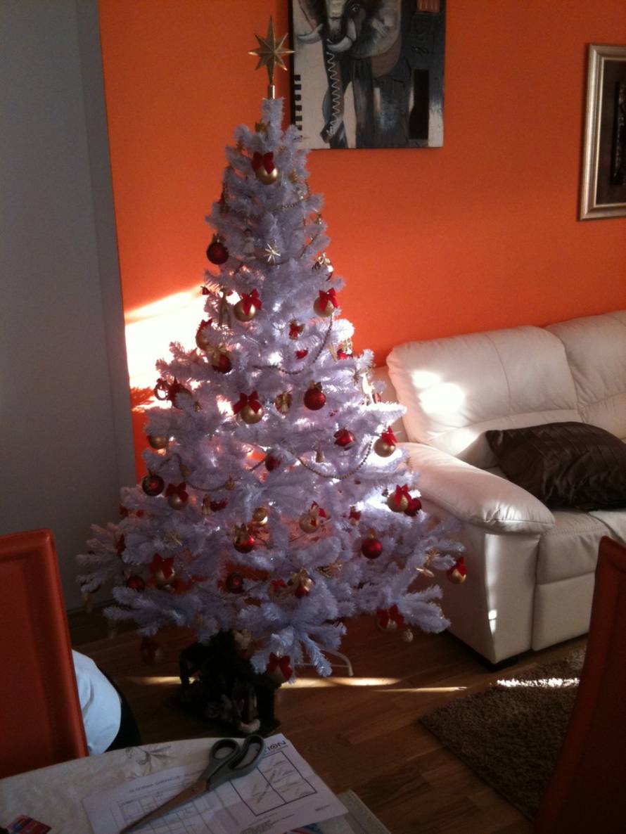 Šaljite fotografije božićnih jelki i osvojite vrijednu nagradu...