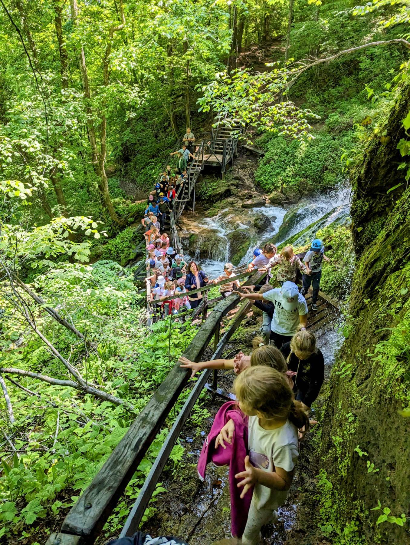 Park prirode Papuk: Ljetujte na zelenom otoku Panonskog mora