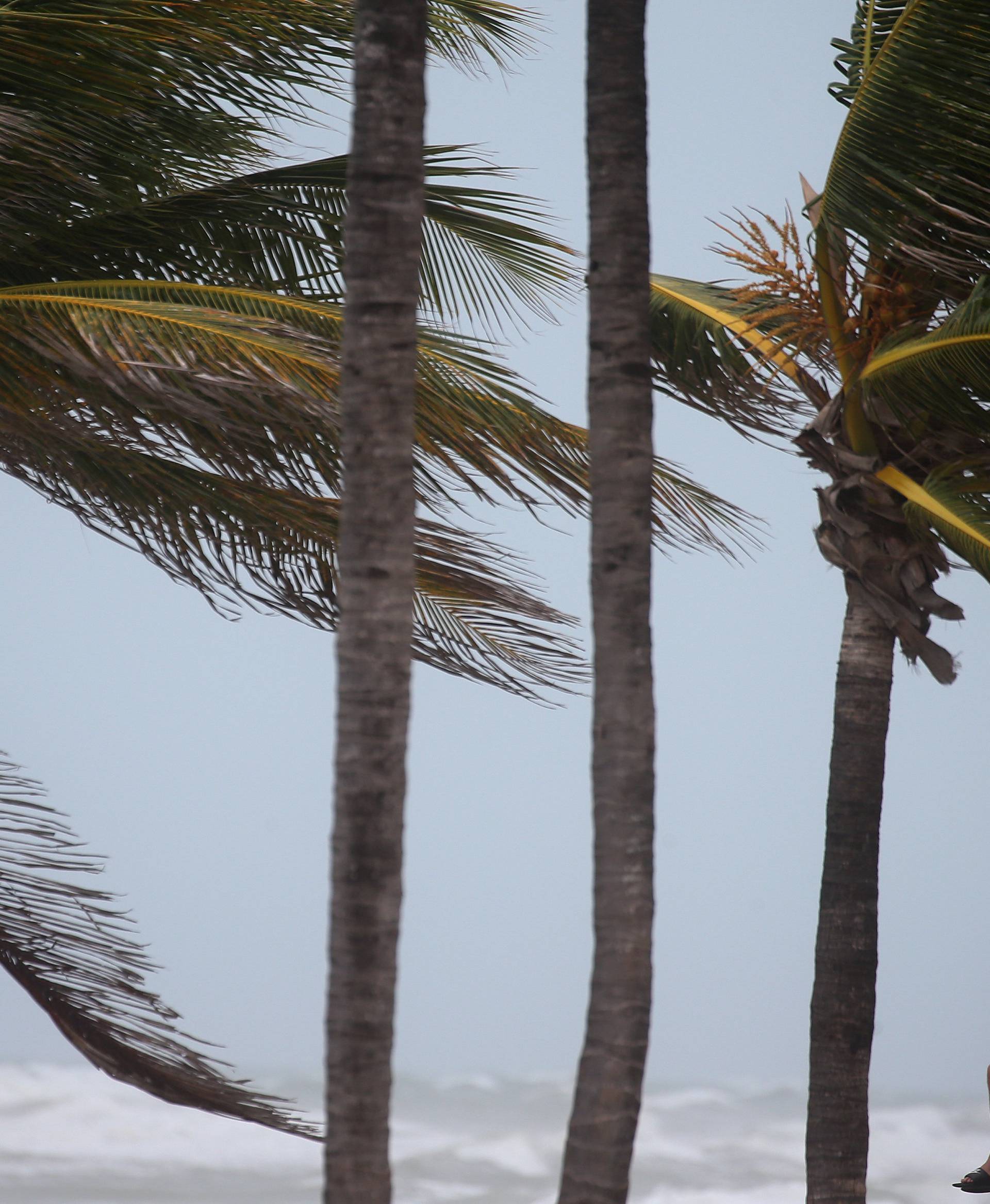 A man sits on a life guard tower as the wind blows at the beach in advance of Hurricane Irma's expected arrival in Hollywood, Florida