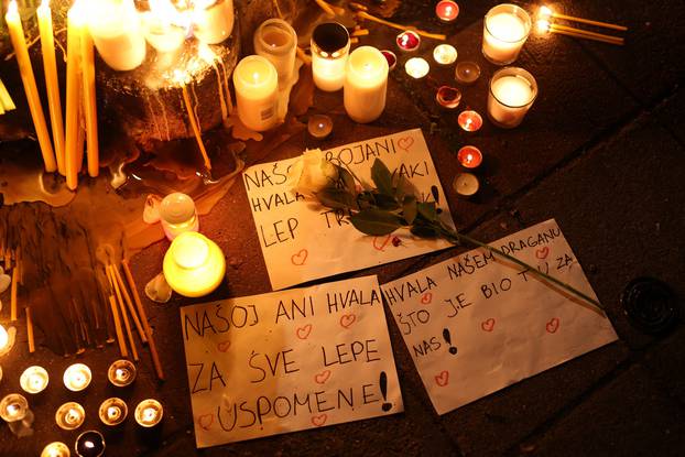 Boy kills students and school staff in planned attack in Belgrade