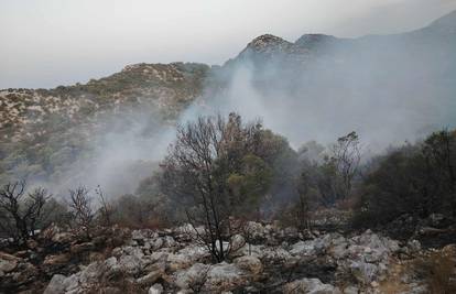 Izbio požar na Mljetu, pozvana dva kanadera, ali zbog jakog juga ne mogu poletjeti...
