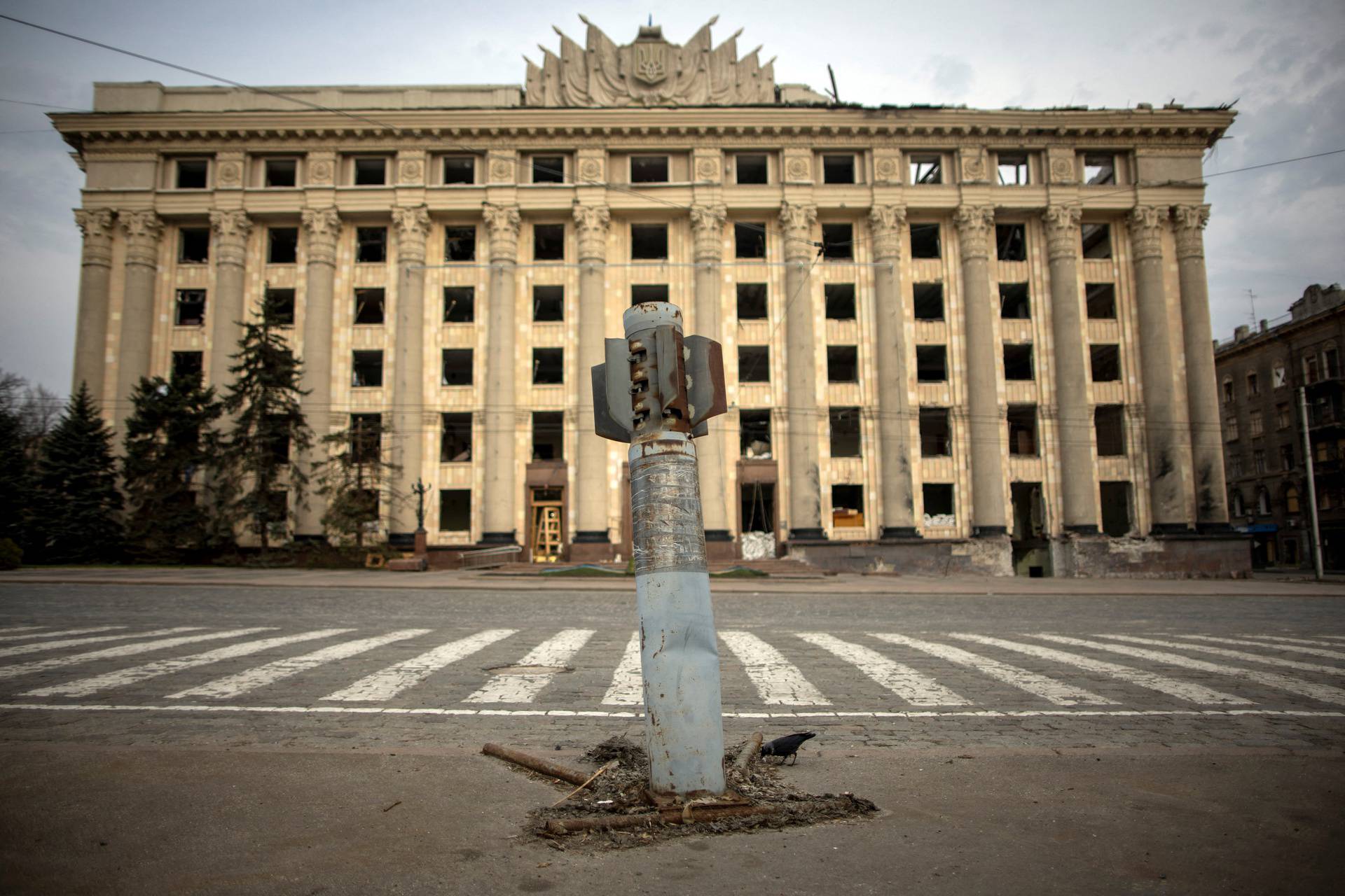 A bird is seen next to a missile from a previous Russian military attack, in Kharkiv