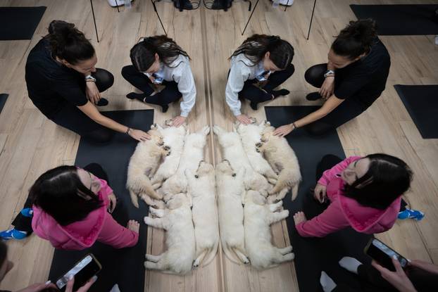 24SATA Paw Yoga, inovativni koncept joge koji je stigao u Hrvatsku