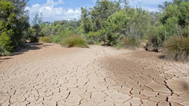 U Međimurju su zbog suše proglasili prirodnu nepogodu