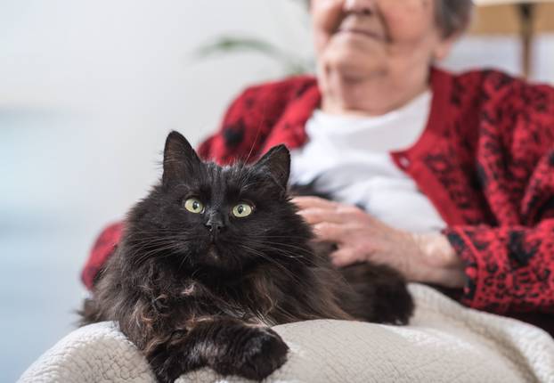 Otkrijte nevjerojatnih 10 načina na koje nas naši kućni ljubimci uče emocionalnoj inteligenciji