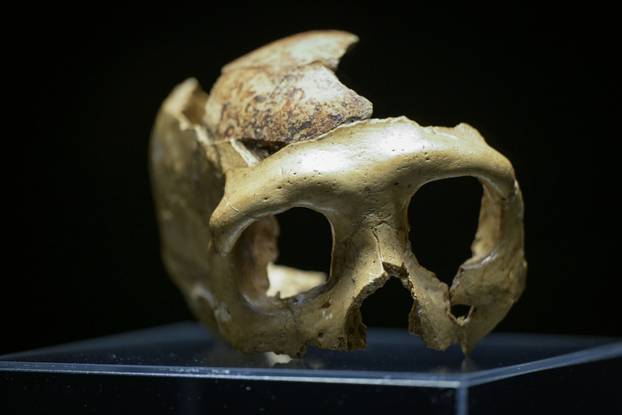 Zagreb: Otvorenje izložbe Lubanja C u Prirodoslovnom muzeju