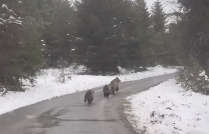 VIDEO Preslatke scene iz Gorskog kotara: 'Ova prizor je prava čarolija. Nevjerojatno'