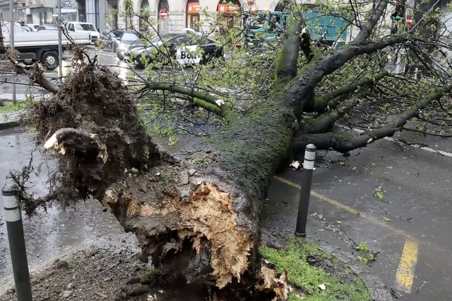 Apokalipsa u Zagrebu: Stabla drobila automobile, izdano novo upozorenje!