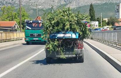 Urnebesna snimka iz Splita: 'Što je ovo?! Zeleni Opel? Grane su virile svuda, vozio je centrom'