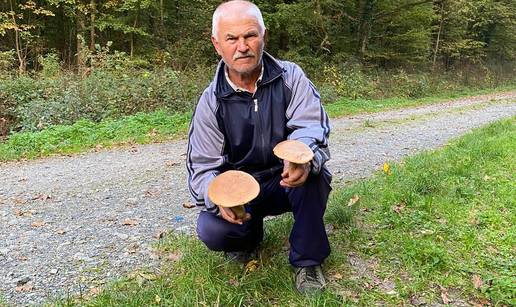 &Zcaron;eljko je pravi stru&ccaron;njak za gljive: 'Nikad ih ne berite na rubu &scaron;ume ili oko otpada'