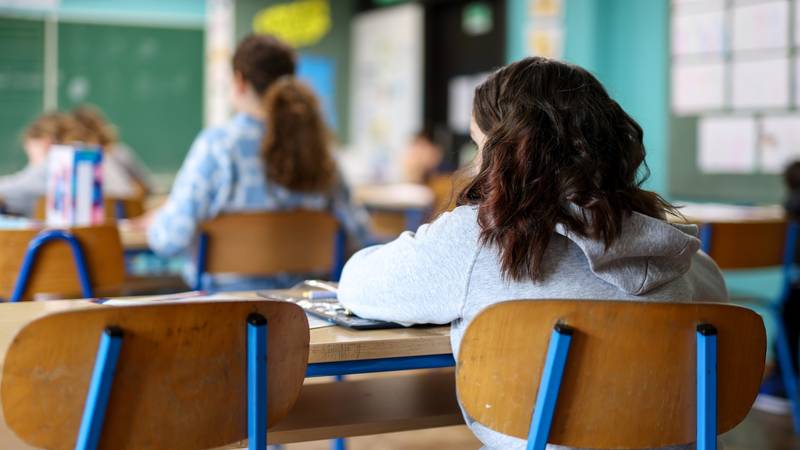 Djevojčice u većini predmeta bolje od dječaka, sve ih muči s
