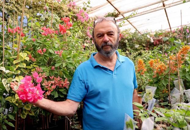 Split: Denis Bojčić, kolekcionar bugenvila