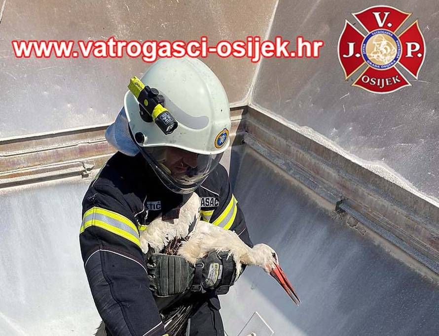 Osječki vatrogasci spasili rodu: Upala je u ‘lijevak’ za pretovar