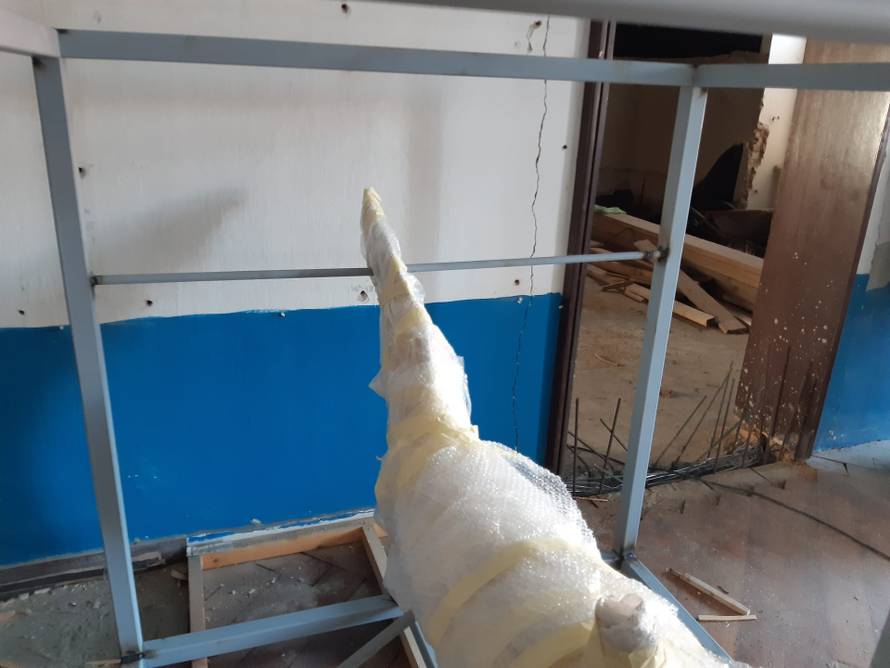 VIDEO Velika bijela psina od 4,5 metara putuje kroz Zagreb!