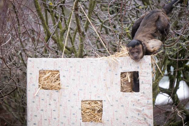 Zagreb: Podjela darova životinjama u Zoološkom vrtu