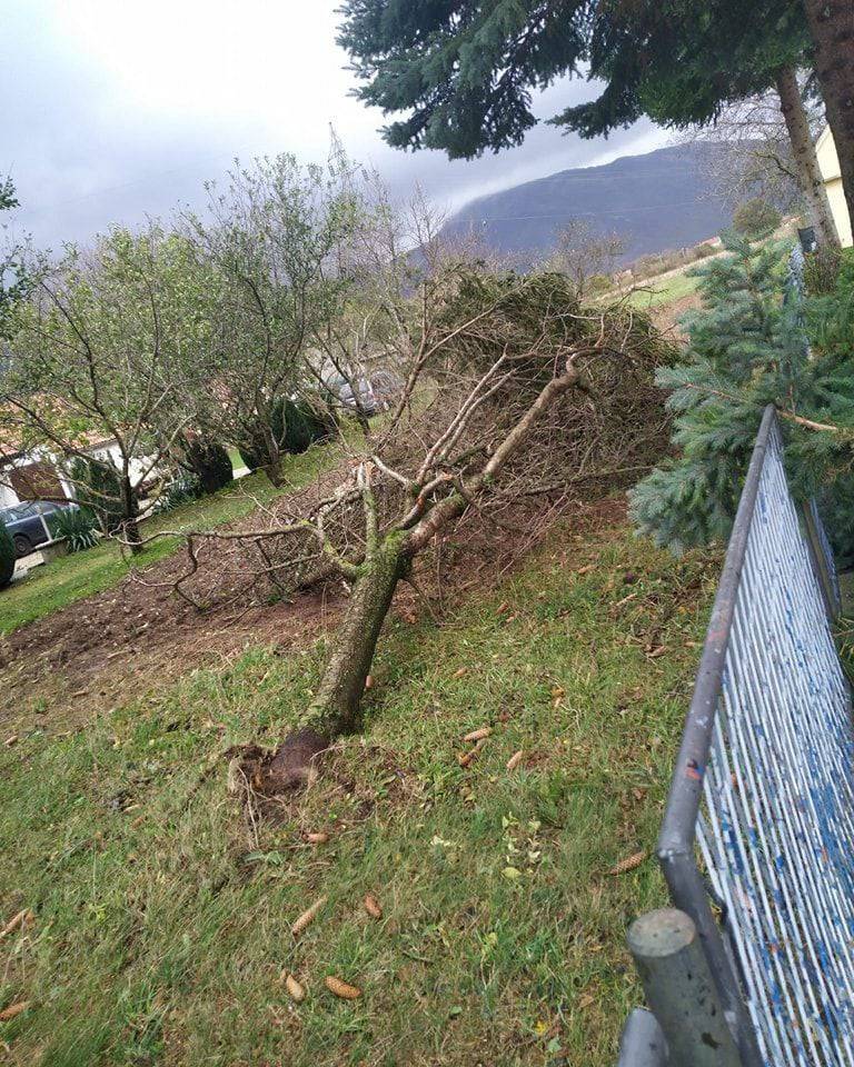 Snažno nevrijeme zabijelilo je Livno: Oštećene kuće, iščupana stabla, led je prekrio ulice...