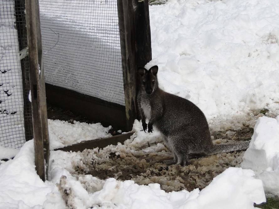 Željko Grgurinović/24sata