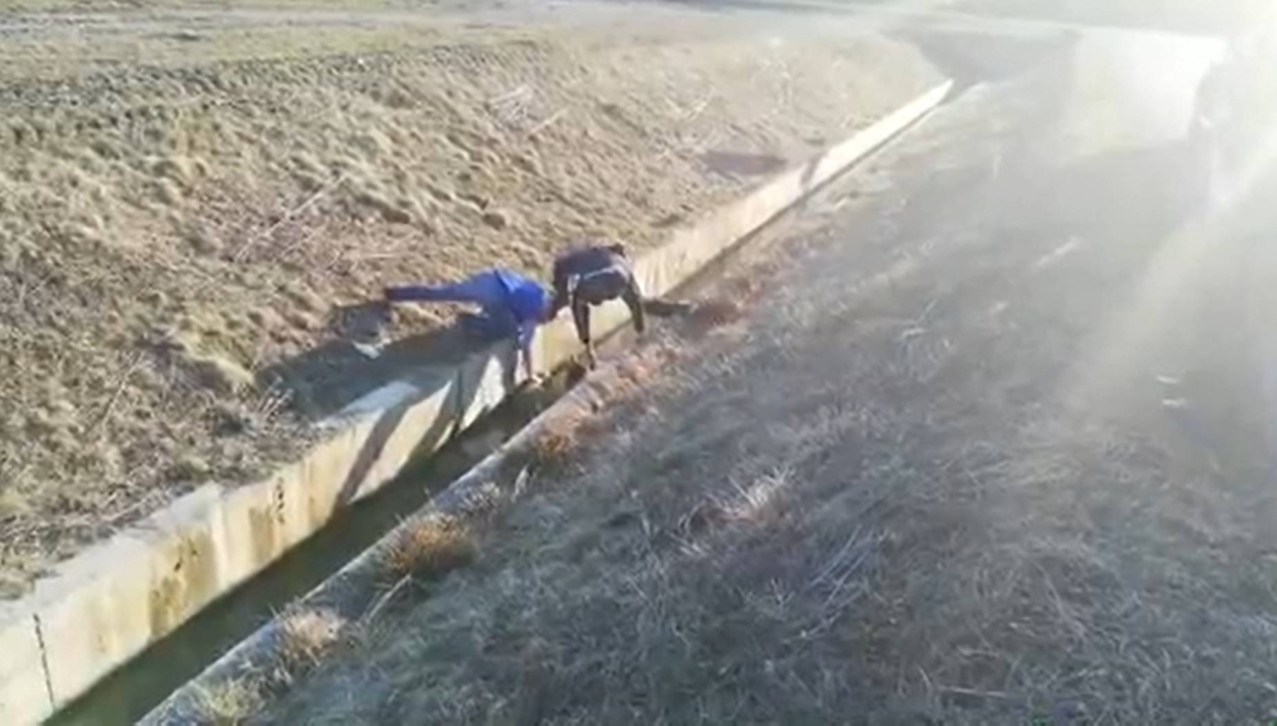 Video: "Psi su zapeli u kanalu. Bili su već na izmaku snaga..."