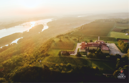 Graševine Vina Erdut ponovo zlatne