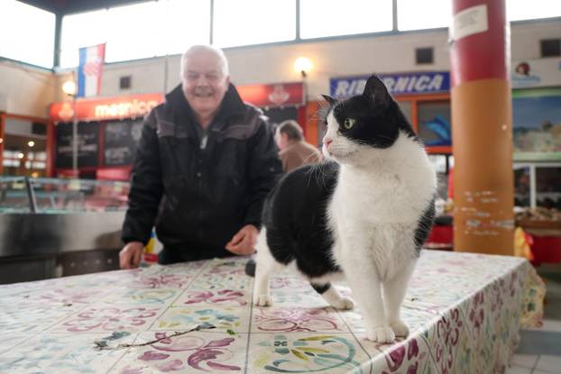 Zagreb: Tržnica Jarun