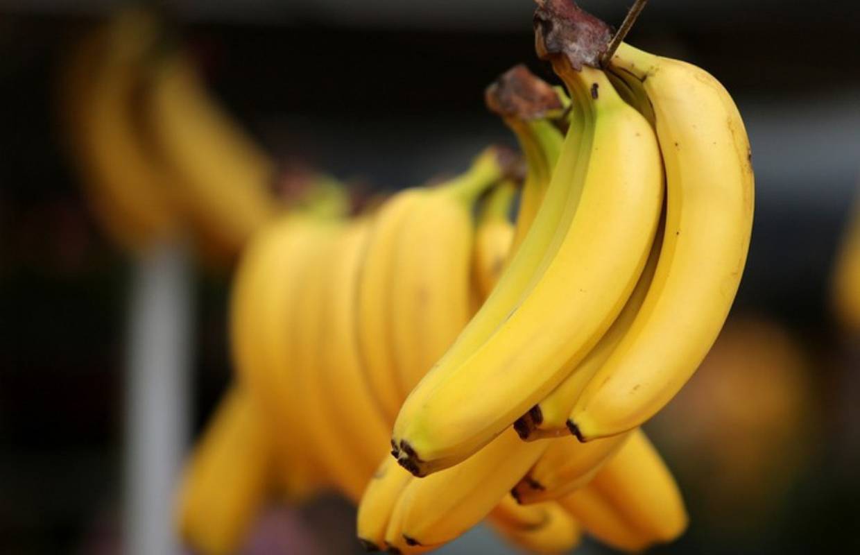 Znate li zašto banane na tržnici često vise u zraku - na špagi?
