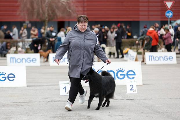 Izložba pasa svih pasmina ispred shopping centra Westgate City u Zaprešiću