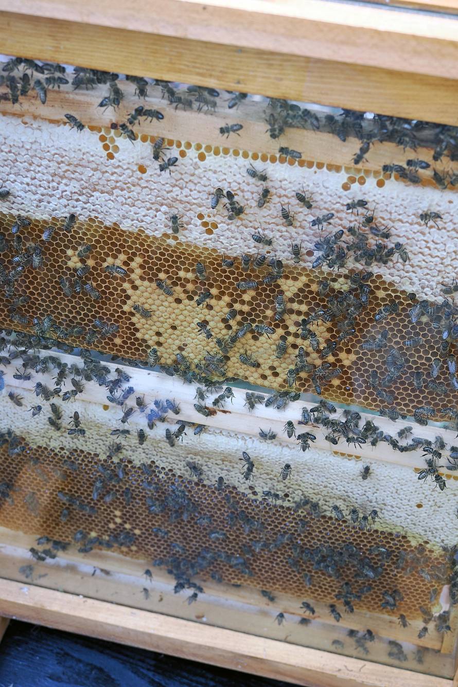 U Baškoj se uživa i ove jeseni