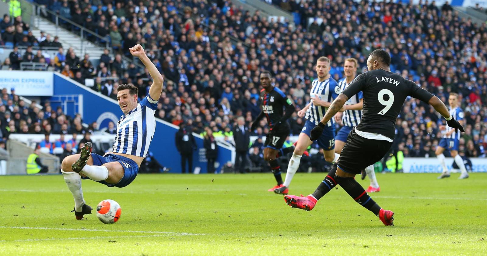 Brighton and Hove Albion v Crystal Palace - Premier League - AMEX Stadium