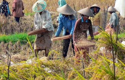 Prijeti nam nova nestašica? Zbog neočekivane zabrane Indije ljudi masovno kupuju rižu