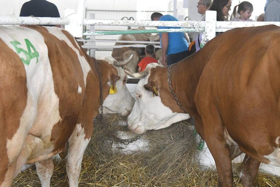 Gudovac: 32. izdanje međunarodnog jesenskog sajma