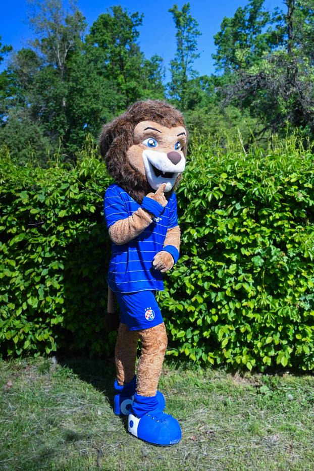 Zagreb: Proslava 115. rođendana GNK Dinamo uz vožnju rođendanskim tramvajem 