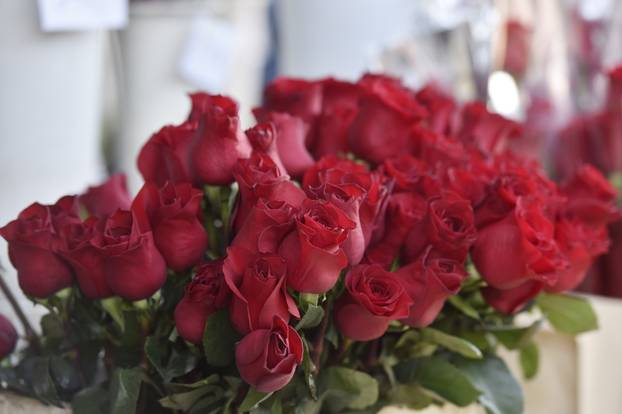 Šibenik: Kupovina cvijeća povodom Međunarodnog dana Žena