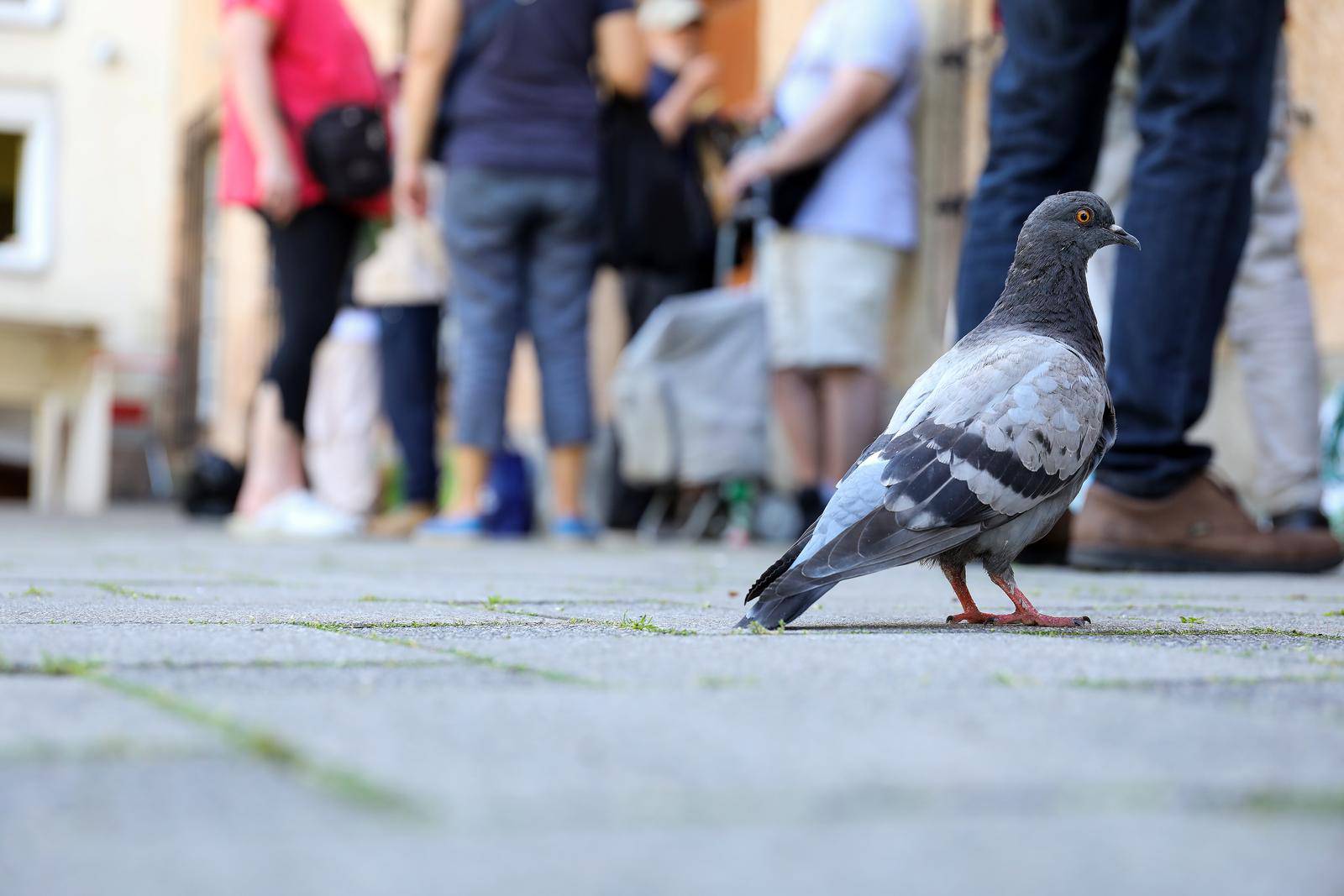 Zagreb: Pučka kuhinja Družbe sestara milosrdnica sv. Vinka Paulskog