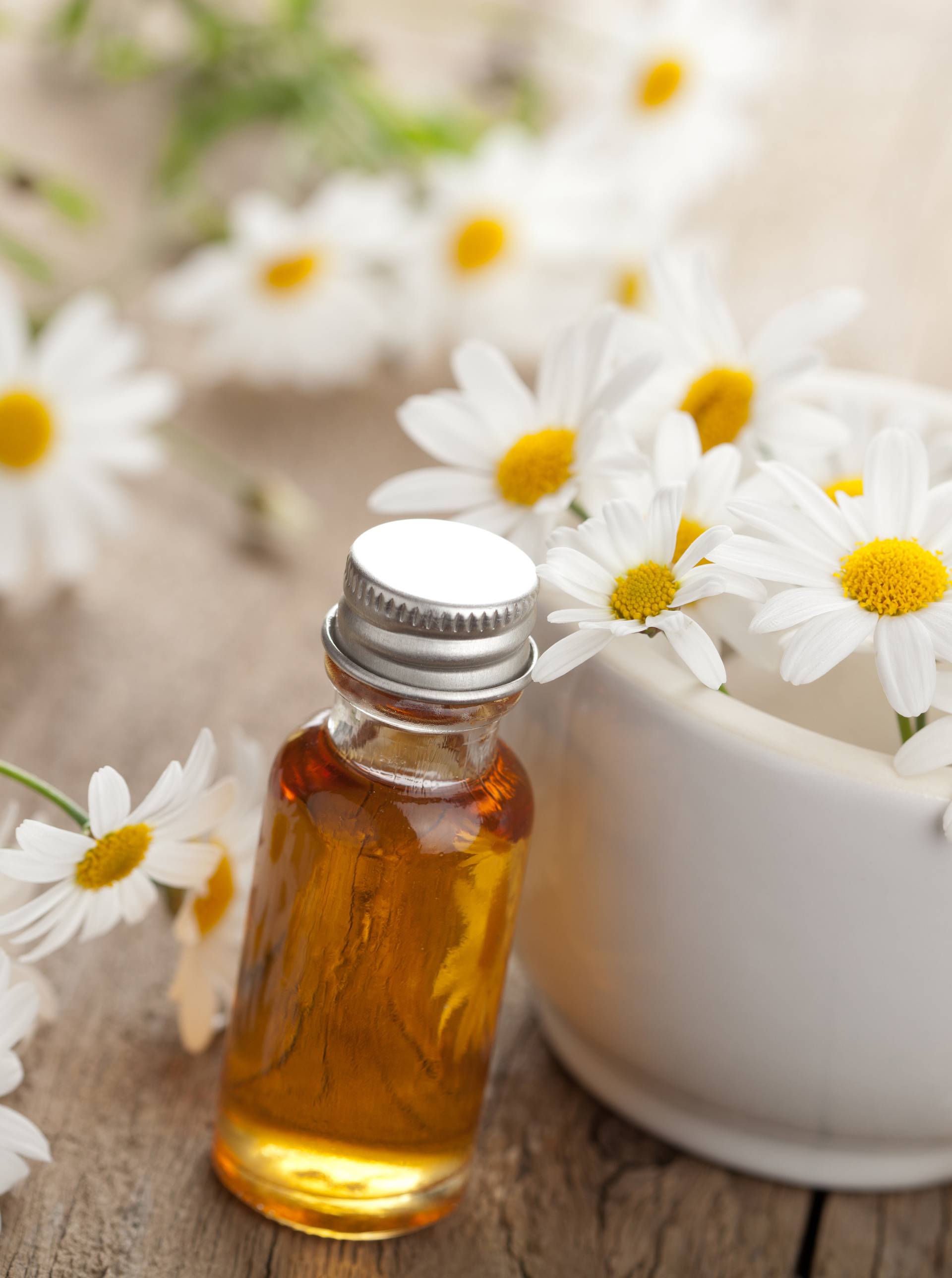 essential oil and camomile flowers in mortar