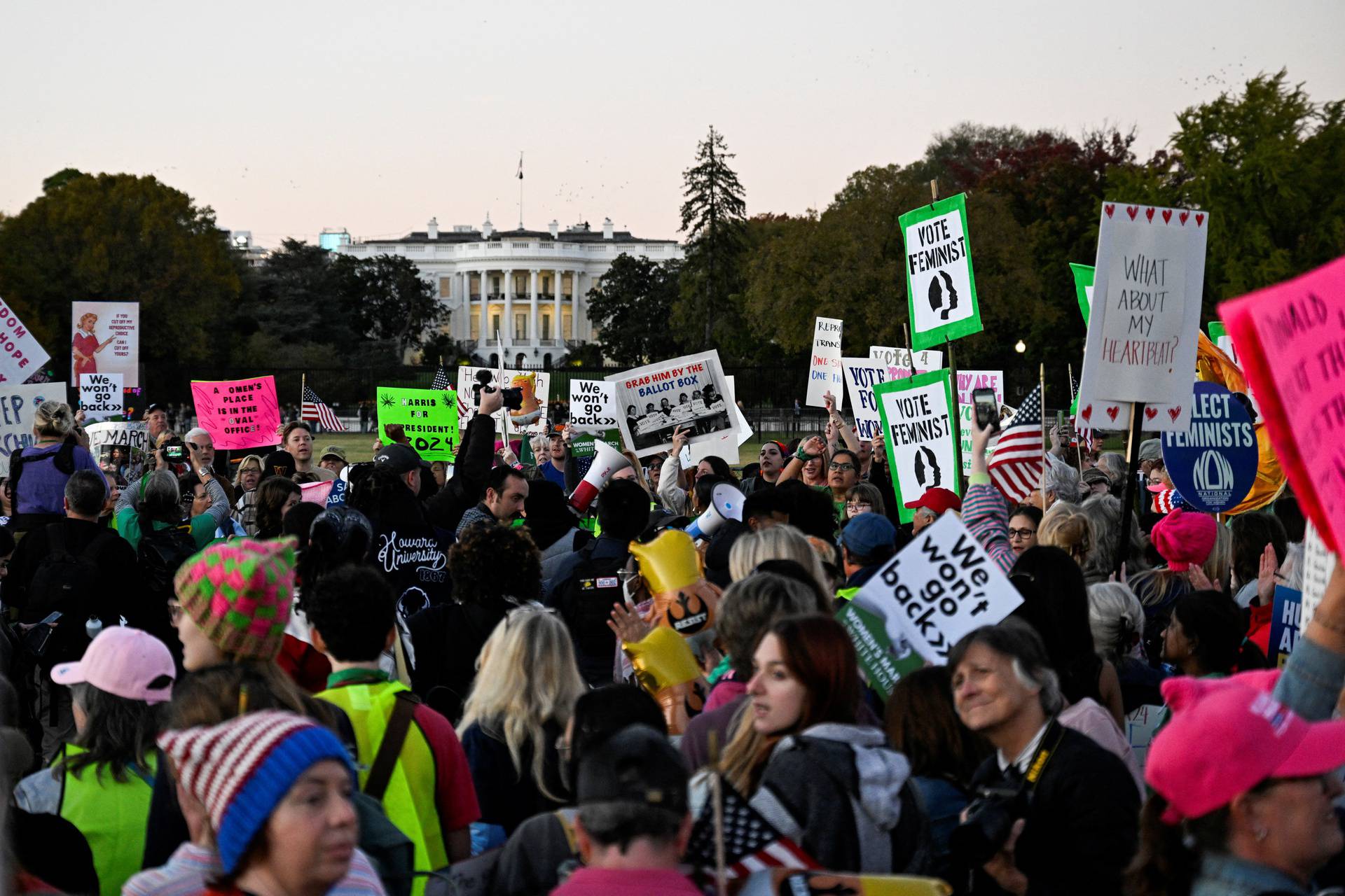 National Women's March in Washington