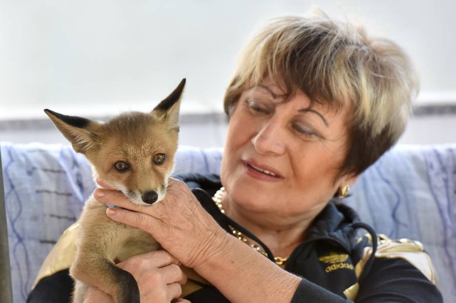 Ne daju ih nikome: Napušteni Leo i Lea sad su kućni ljubimci