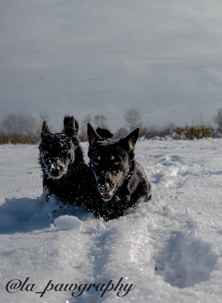 Općinska komunalka sama 'izlopatala' snijeg sa staze: 'Nema nikakve drame u tome'