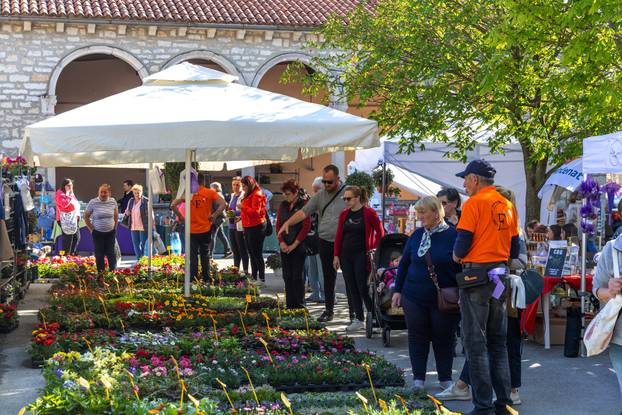 Svetivinčenat: Fešta od Rožic